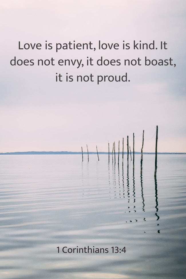Love is patient, love is kind. It does not envy, it does not boast, it is not proud. - 1 Corinthians 13:4