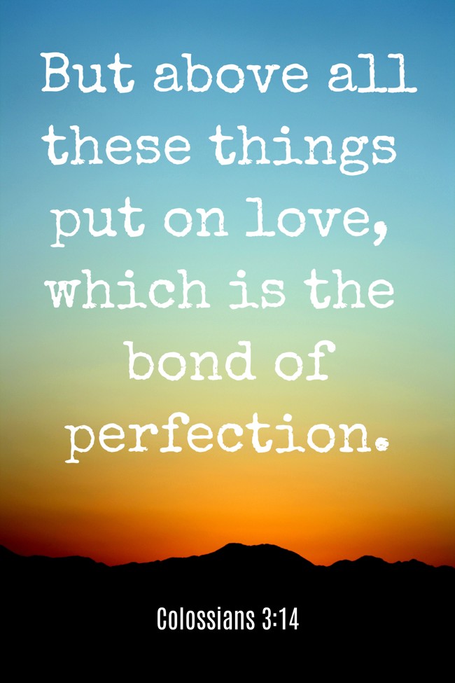 But above all these things put on love, which is the bond of perfection. - Colossians 3:14
