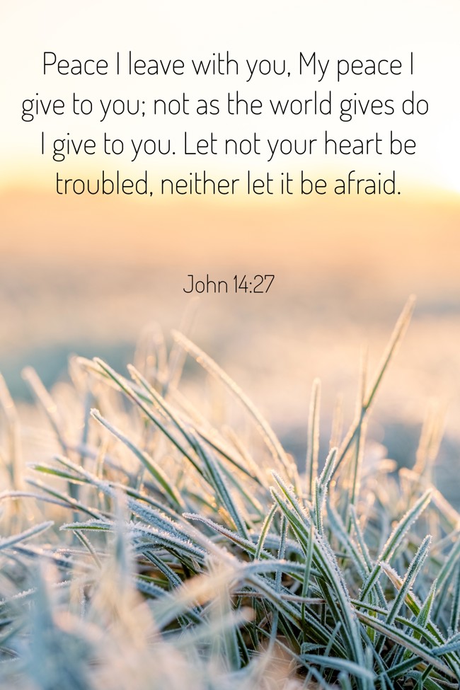 Peace I leave with you, My peace I give to you; not as the world gives do I give to you. Let not your heart be troubled, neither let it be afraid. - John 14:27