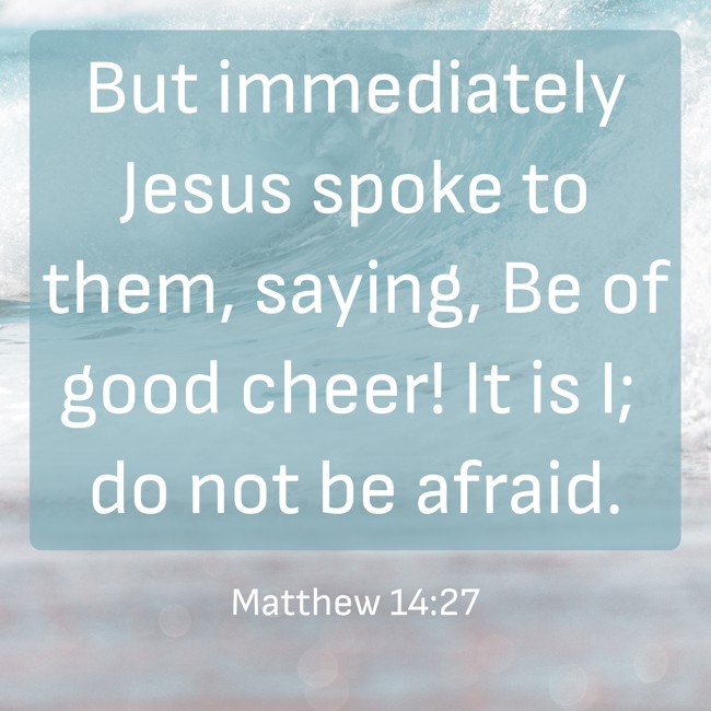 But immediately Jesus spoke to them, saying, Be of good cheer! It is I; do not be afraid. - Matthew 14:27