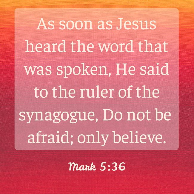 As soon as Jesus heard the word that was spoken, He said to the ruler of the synagogue, Do not be afraid; only believe. - Mark 5:36
