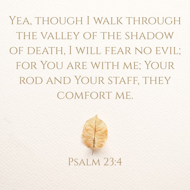 Yea, though I walk through the valley of the shadow of death, I will fear no evil; for You are with me; Your rod and Your staff, they comfort me. - Psalm 23:4