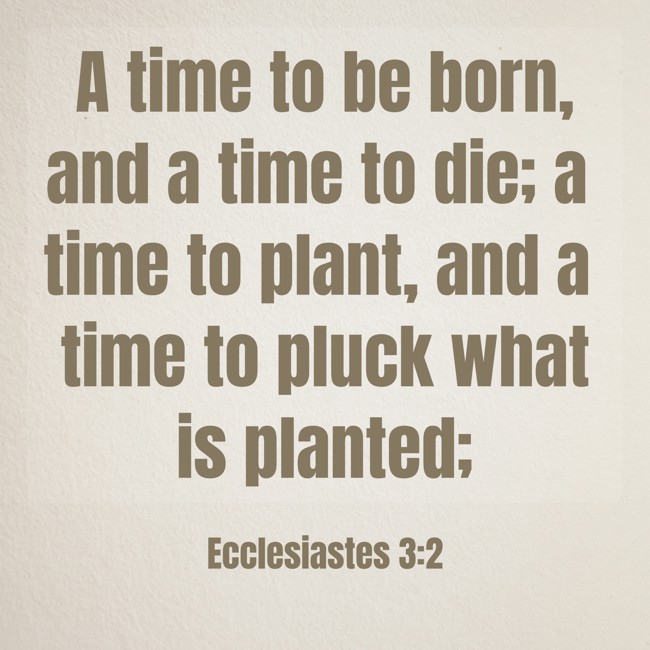 A time to be born, and a time to die; a time to plant, and a time to pluck what is planted; - Ecclesiastes 3:2