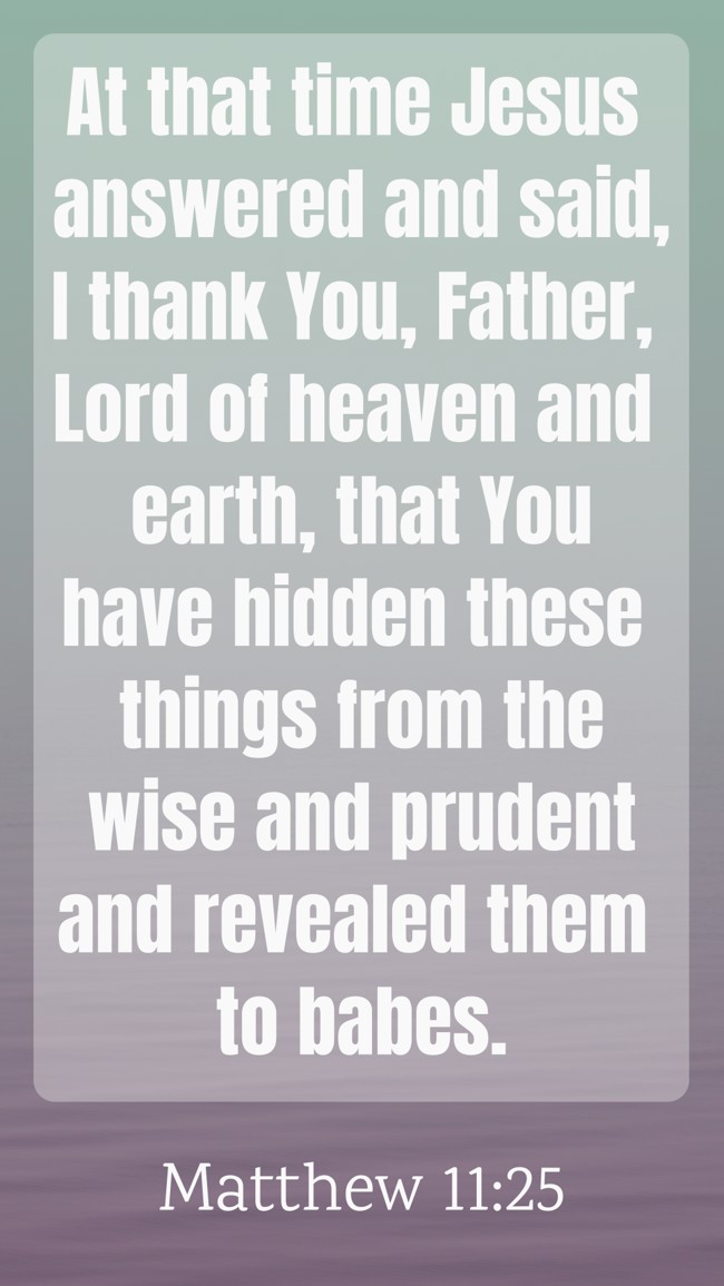 At that time Jesus answered and said, I thank You, Father, Lord of heaven and earth, that You have hidden these things from the wise and prudent and revealed them to babes. - Matthew 11:25