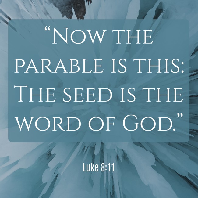 “Now the parable is this: The seed is the word of God.” - Luke 8:11