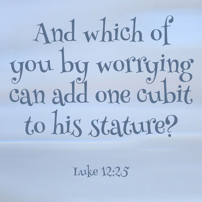 And which of you by worrying can add one cubit to his stature? - Luke 12:25