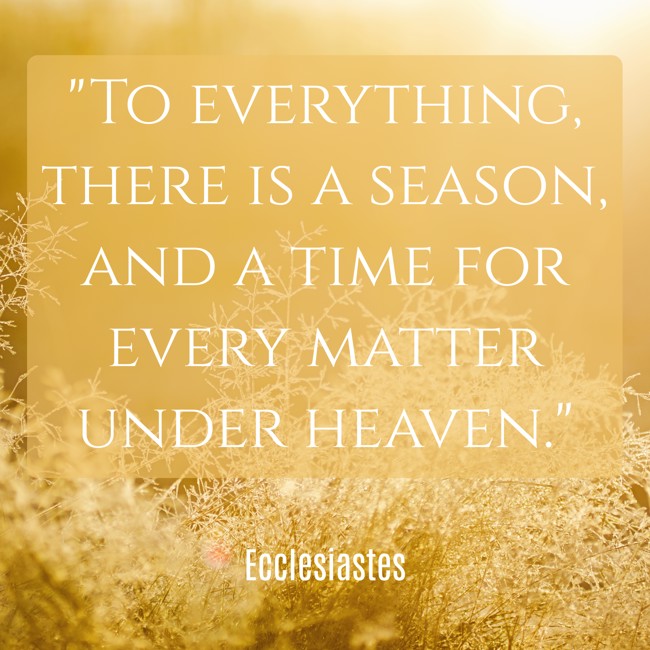 To everything, there is a season, and a time for every matter under heaven. - Ecclesiastes