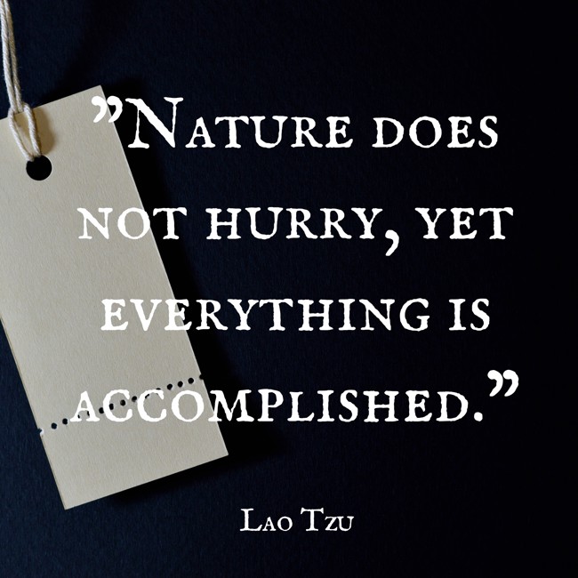 Nature does not hurry, yet everything is accomplished. - Lao Tzu