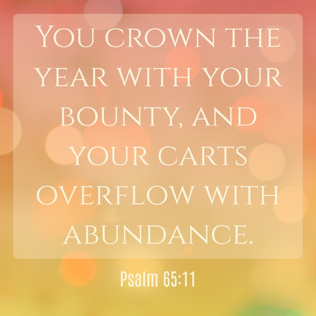 You crown the year with your bounty, and your carts overflow with abundance. - Psalm 65:11