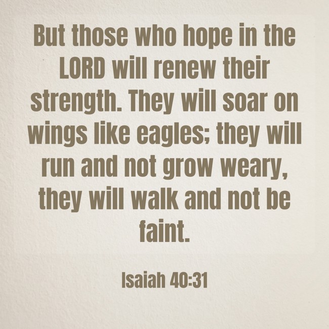 But those who hope in the LORD will renew their strength. They will soar on wings like eagles; they will run and not grow weary, they will walk and not be faint. - Isaiah 40:31