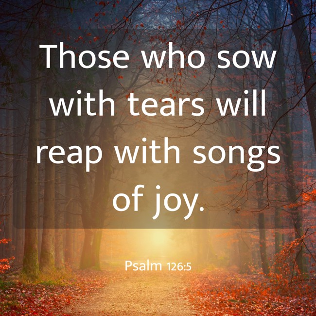 Those who sow with tears will reap with songs of joy. - Psalm 126:5