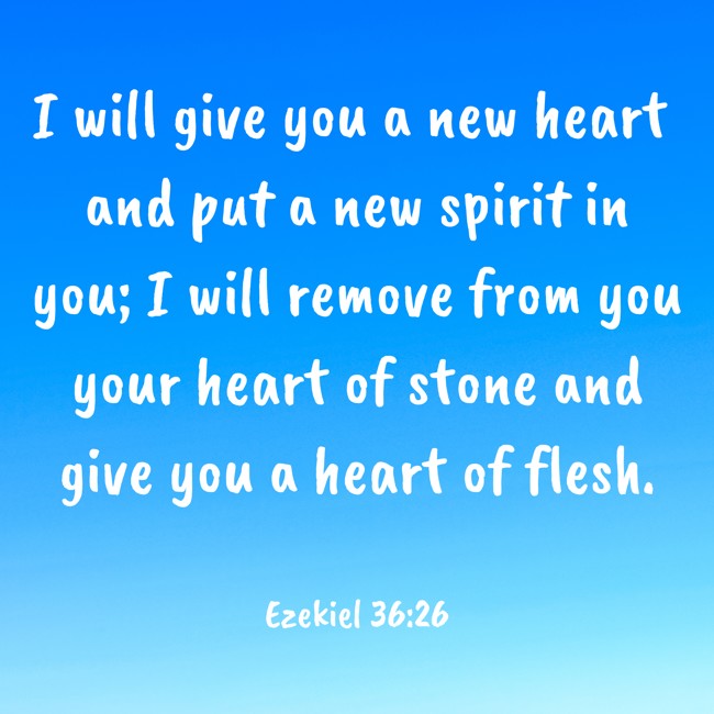 I will give you a new heart and put a new spirit in you; I will remove from you your heart of stone and give you a heart of flesh. - Ezekiel 36:26