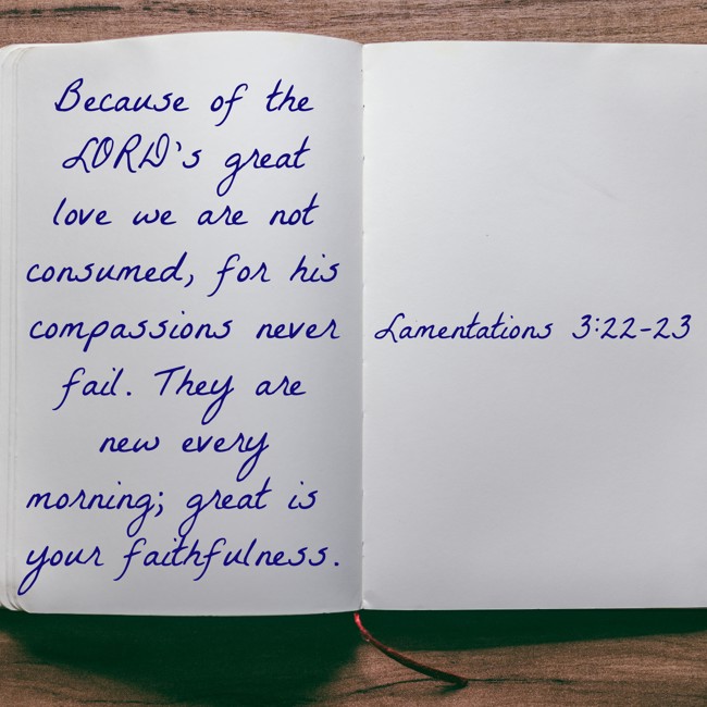 Because of the LORD’s great love we are not consumed, for his compassions never fail. They are new every morning; great is your faithfulness. - Lamentations 3:22-23