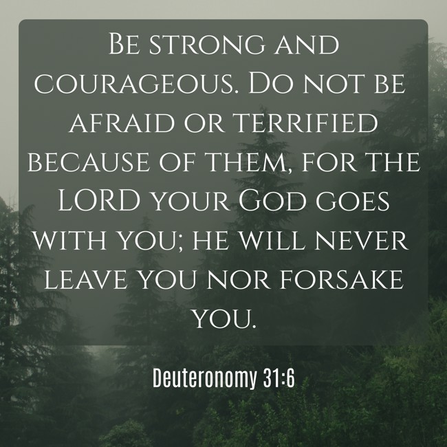 Be strong and courageous. Do not be afraid or terrified because of them, for the LORD your God goes with you; he will never leave you nor forsake you. - Deuteronomy 31:6