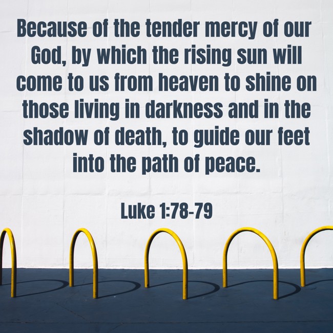 Because of the tender mercy of our God, by which the rising sun will come to us from heaven to shine on those living in darkness and in the shadow of death, to guide our feet into the path of peace. - Luke 1:78-79
