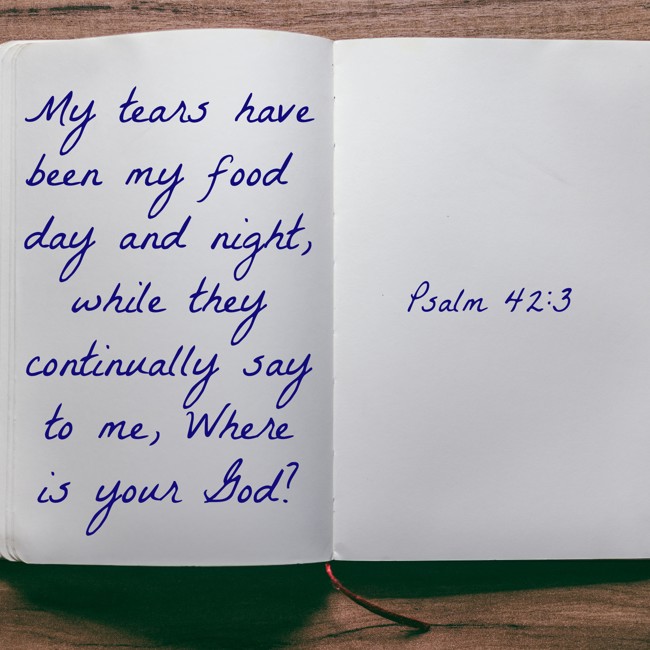 My tears have been my food day and night, while they continually say to me, Where is your God? - Psalm 42:3