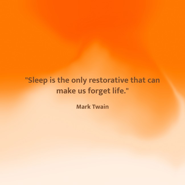 Sleep is the only restorative that can make us forget life. - Mark Twain