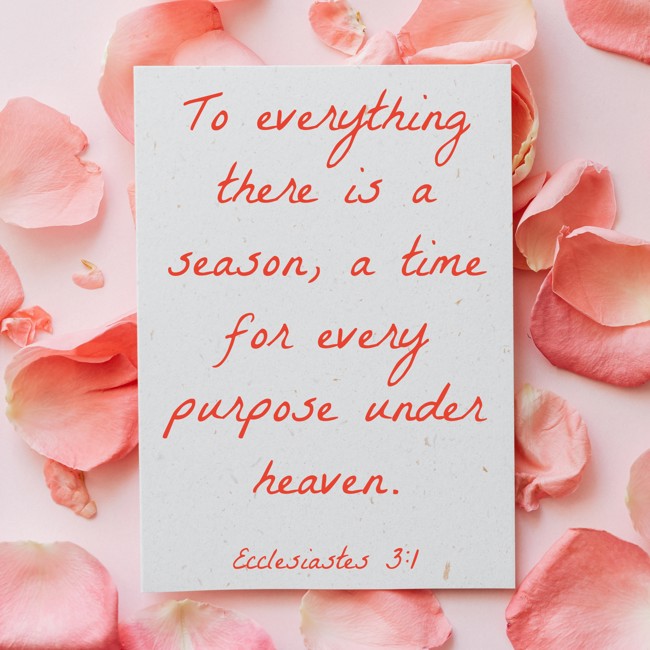 To everything there is a season, a time for every purpose under heaven. - Ecclesiastes 3:1