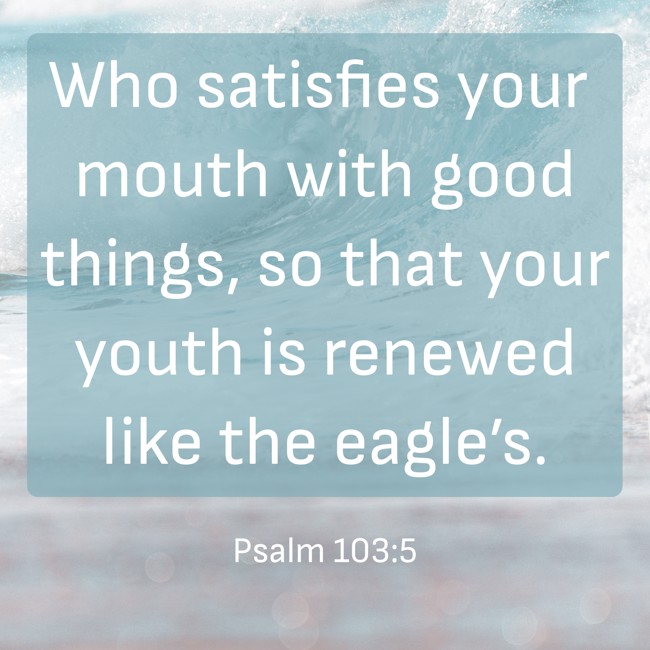 Who satisfies your mouth with good things, so that your youth is renewed like the eagle’s. - Psalm 103:5