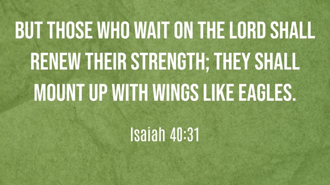 But those who wait on the LORD shall renew their strength; they shall mount up with wings like eagles. - Isaiah 40:31