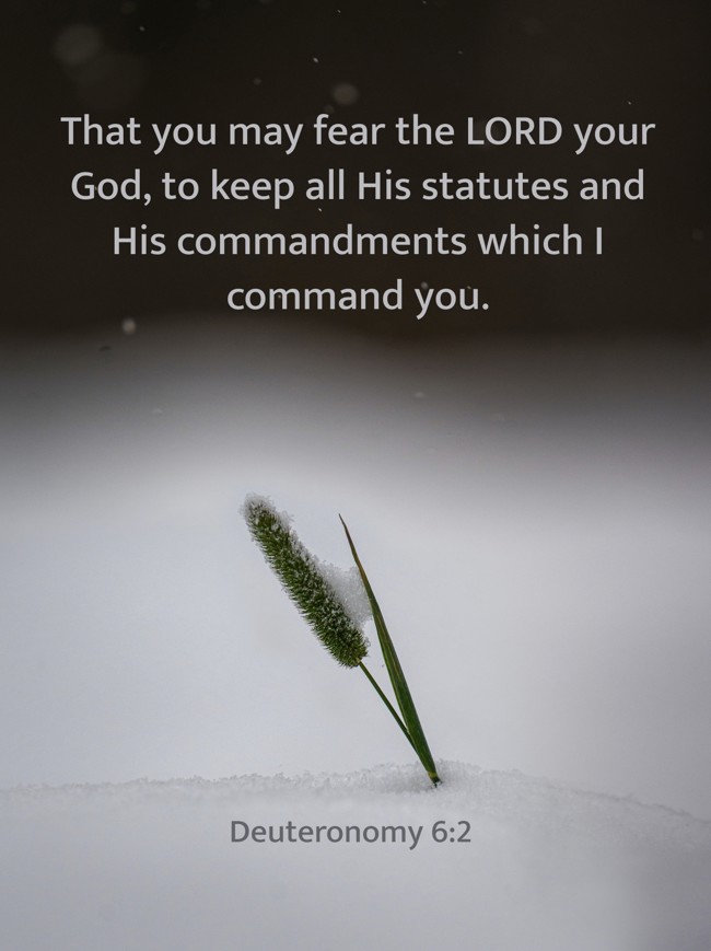 That you may fear the LORD your God, to keep all His statutes and His commandments which I command you. - Deuteronomy 6:2