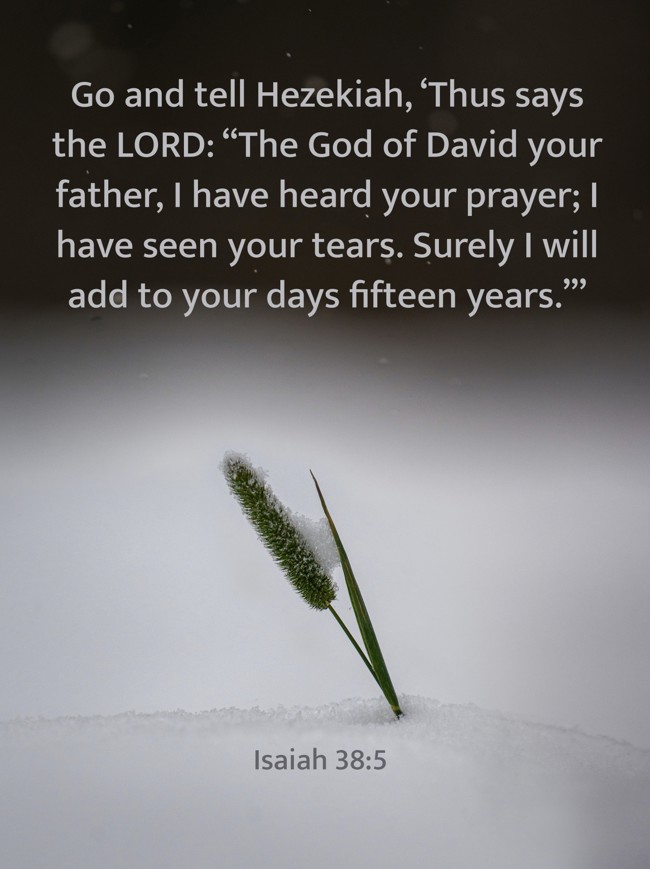 Go and tell Hezekiah, ‘Thus says the LORD: “The God of David your father, I have heard your prayer; I have seen your tears. Surely I will add to your days fifteen years.”’ - Isaiah 38:5