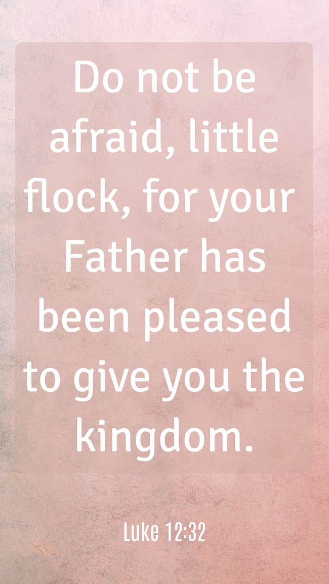 Do not be afraid, little flock, for your Father has been pleased to give you the kingdom. - Luke 12:32