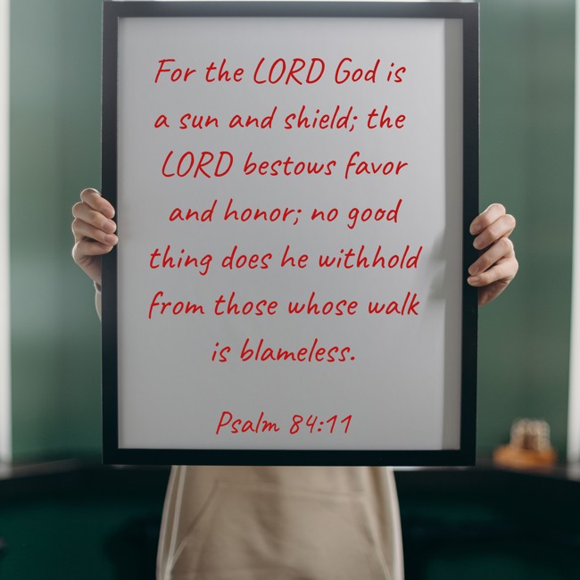For the LORD God is a sun and shield; the LORD bestows favor and honor; no good thing does he withhold from those whose walk is blameless. - Psalm 84:11