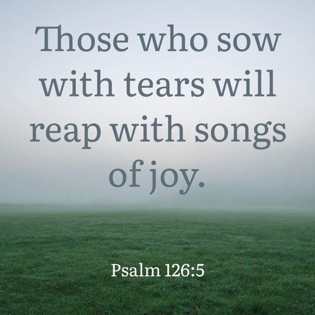 Those who sow with tears will reap with songs of joy. - Psalm 126:5