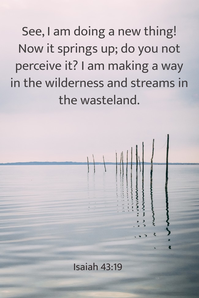 See, I am doing a new thing! Now it springs up; do you not perceive it? I am making a way in the wilderness and streams in the wasteland. - Isaiah 43:19