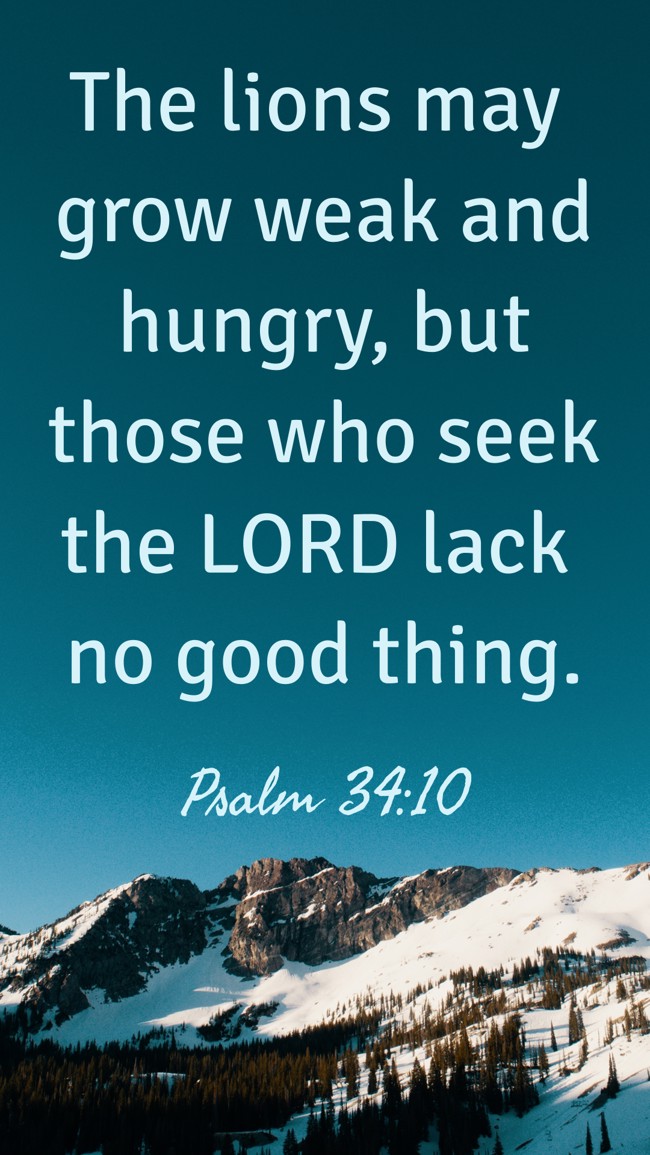 The lions may grow weak and hungry, but those who seek the LORD lack no good thing. - Psalm 34:10