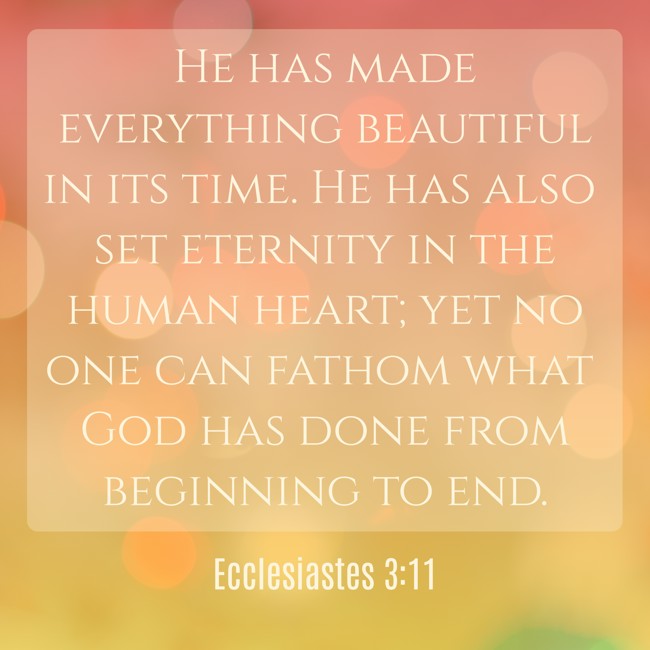 He has made everything beautiful in its time. He has also set eternity in the human heart; yet no one can fathom what God has done from beginning to end. - Ecclesiastes 3:11
