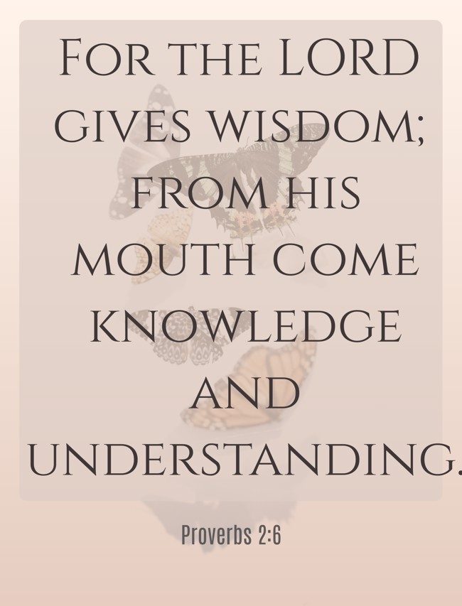 For the LORD gives wisdom; from his mouth come knowledge and understanding. - Proverbs 2:6