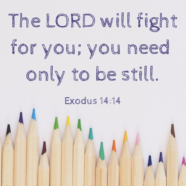 The LORD will fight for you; you need only to be still. - Exodus 14:14