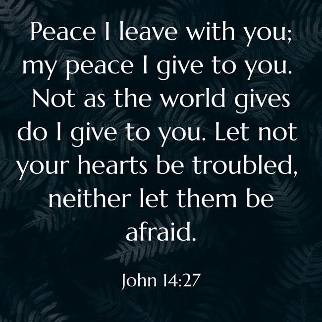 Peace I leave with you; my peace I give to you. Not as the world gives do I give to you. Let not your hearts be troubled, neither let them be afraid. - John 14:27