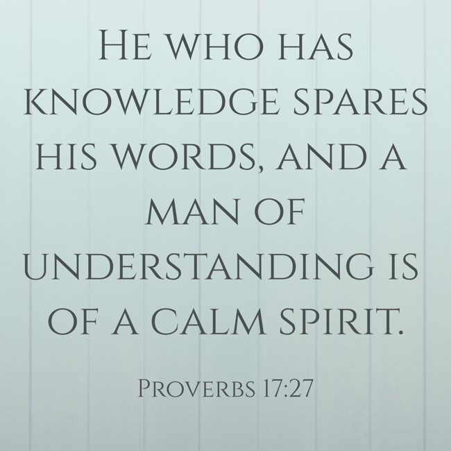 He who has knowledge spares his words, and a man of understanding is of a calm spirit. - Proverbs 17:27