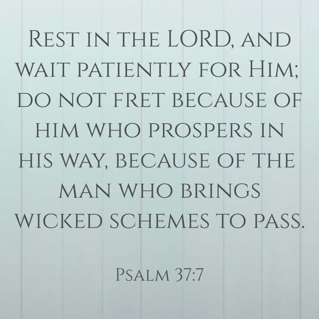 Rest in the LORD, and wait patiently for Him; do not fret because of him who prospers in his way, because of the man who brings wicked schemes to pass. - Psalm 37:7