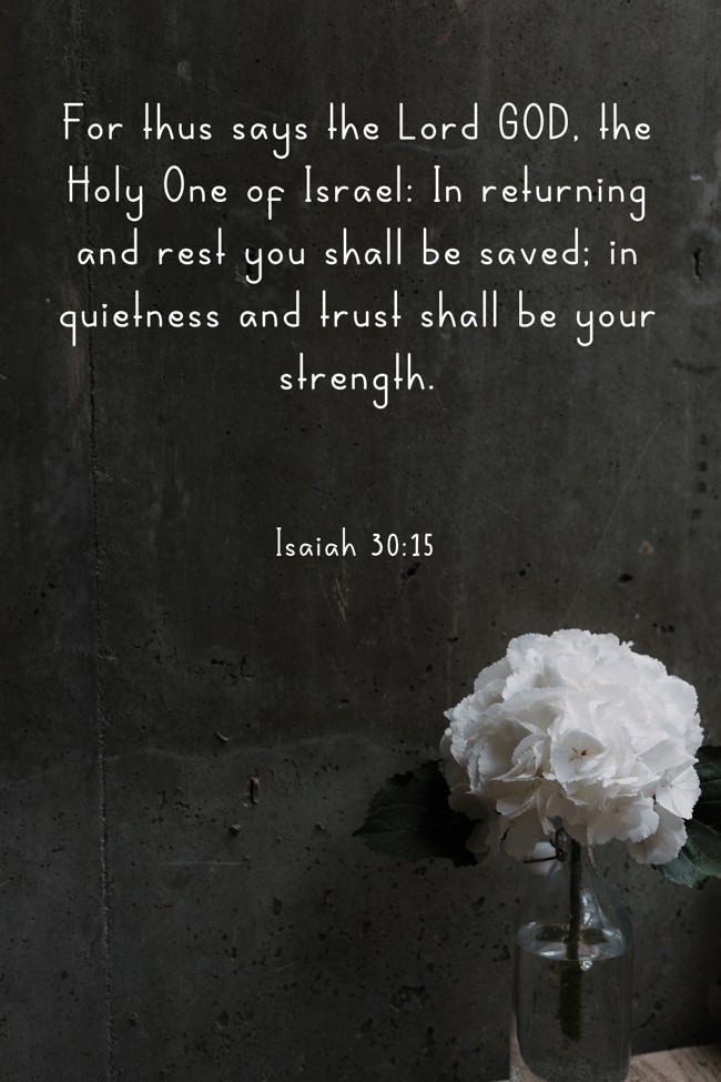 For thus says the Lord GOD, the Holy One of Israel: In returning and rest you shall be saved; in quietness and trust shall be your strength. - Isaiah 30:15