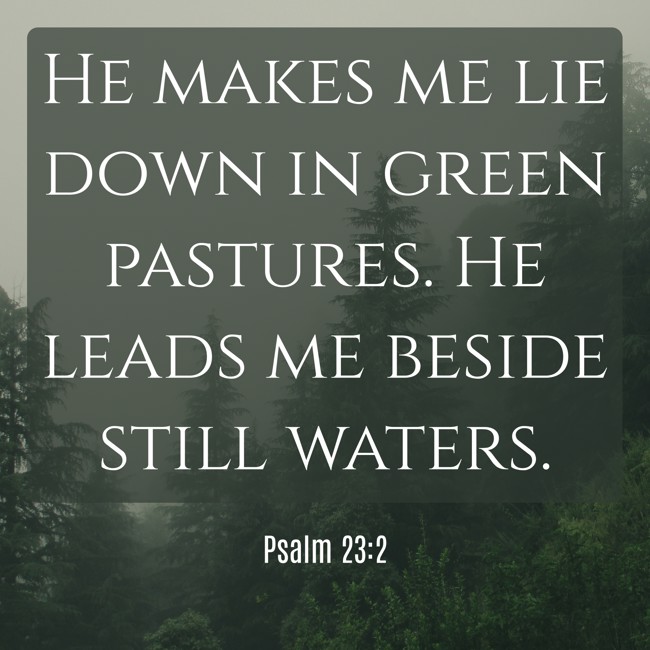 He makes me lie down in green pastures. He leads me beside still waters. - Psalm 23:2