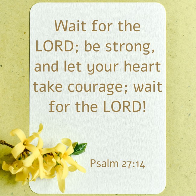 Wait for the LORD; be strong, and let your heart take courage; wait for the LORD! - Psalm 27:14