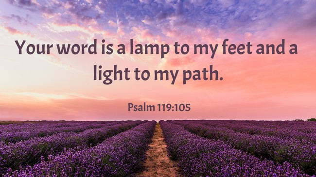 Your word is a lamp to my feet and a light to my path. - Psalm 119:105