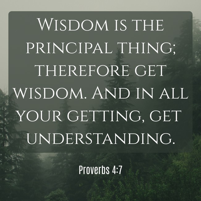Wisdom is the principal thing; therefore get wisdom. And in all your getting, get understanding. - Proverbs 4:7