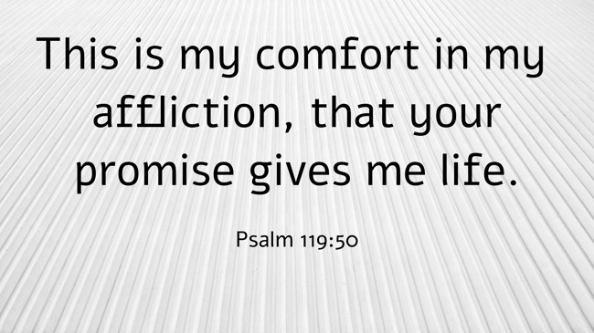 This is my comfort in my affliction, that your promise gives me life. - Psalm 119:50