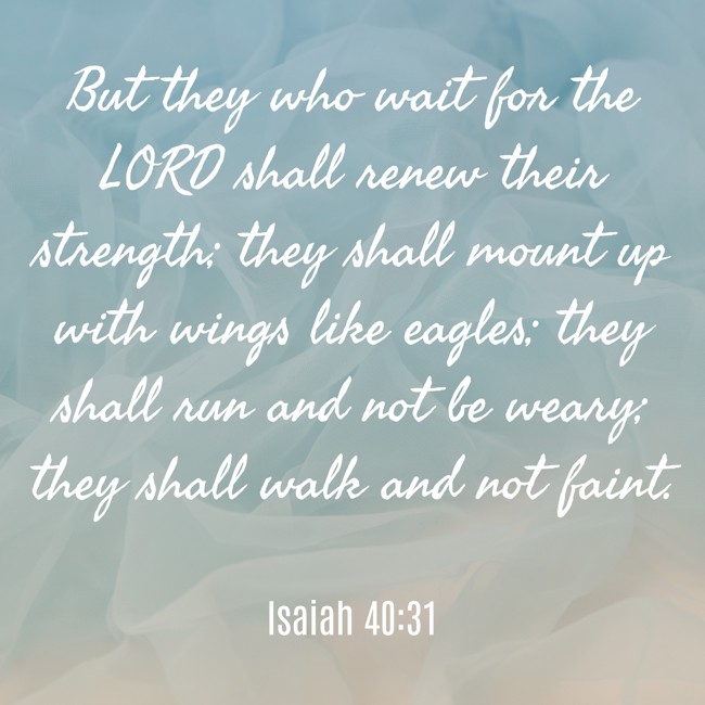 But they who wait for the LORD shall renew their strength; they shall mount up with wings like eagles; they shall run and not be weary; they shall walk and not faint. - Isaiah 40:31
