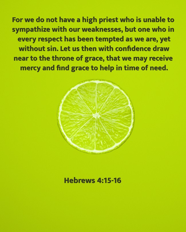 For we do not have a high priest who is unable to sympathize with our weaknesses, but one who in every respect has been tempted as we are, yet without sin. Let us then with confidence draw near to the throne of grace, that we may receive mercy and find grace to help in time of need. - Hebrews 4:15-16