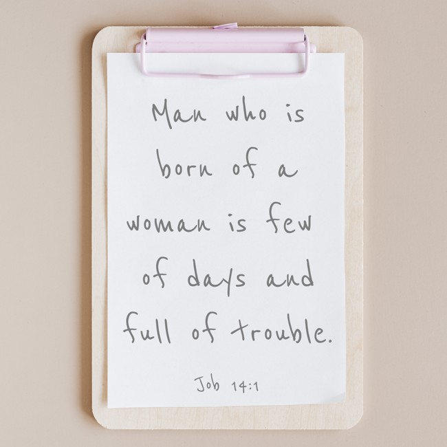 Man who is born of a woman is few of days and full of trouble. - Job 14:1