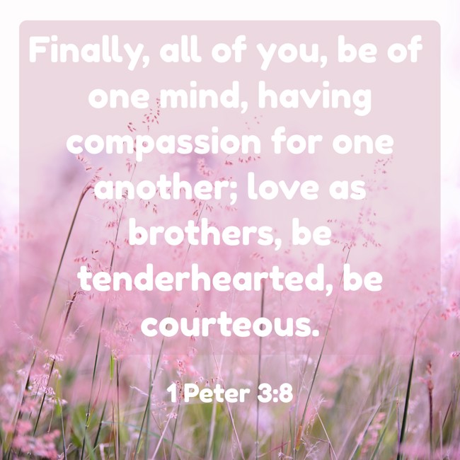 Finally, all of you, be of one mind, having compassion for one another; love as brothers, be tenderhearted, be courteous. - 1 Peter 3:8
