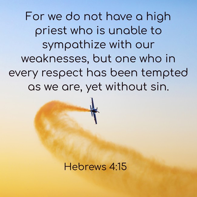 For we do not have a high priest who is unable to sympathize with our weaknesses, but one who in every respect has been tempted as we are, yet without sin. - Hebrews 4:15