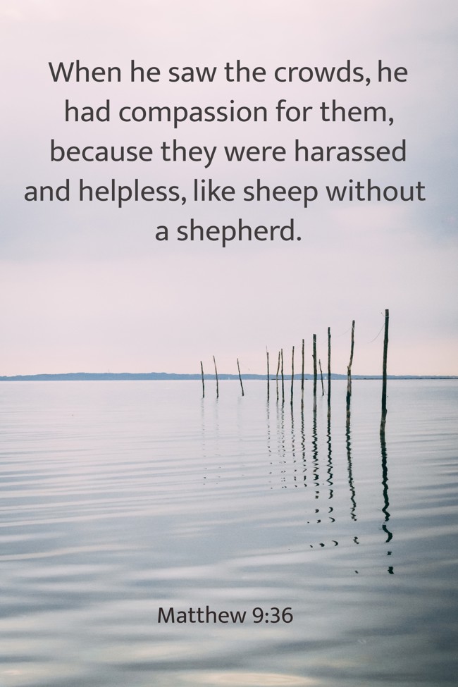 When he saw the crowds, he had compassion for them, because they were harassed and helpless, like sheep without a shepherd. - Matthew 9:36