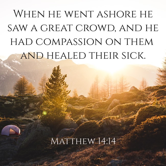 When he went ashore he saw a great crowd, and he had compassion on them and healed their sick. - Matthew 14:14
